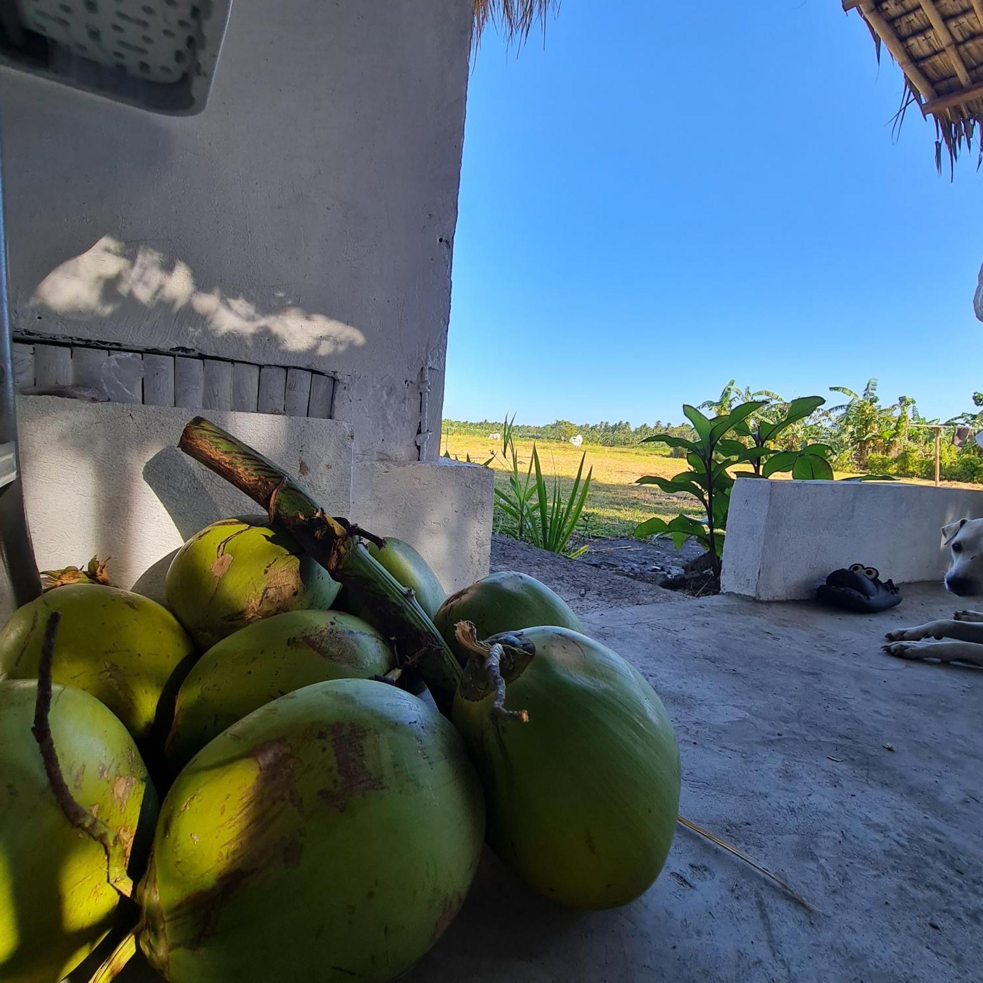 Hotel Casa Juan Farm Candelaria  Exteriér fotografie